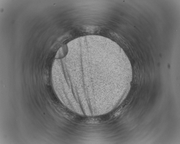 X0000068280656200605191854