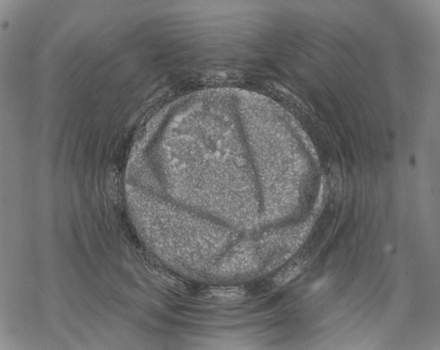 X0000068280659200605191854