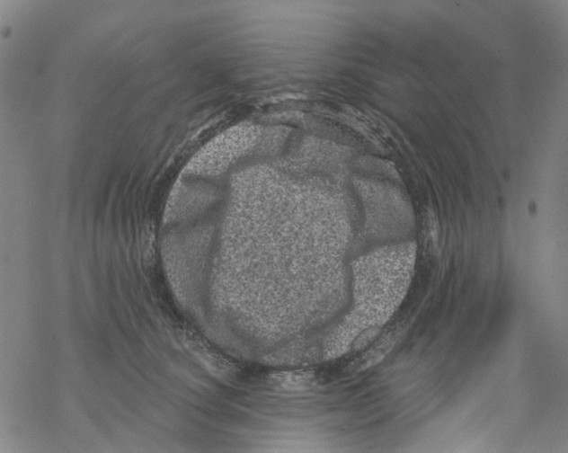 X0000068280660200605191854