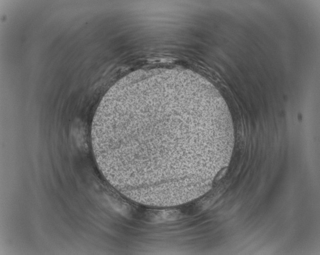 X0000068280663200605191854