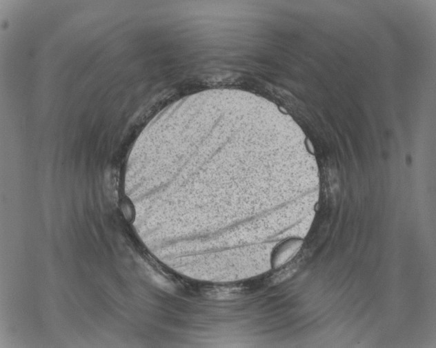 X0000068280664200605191855