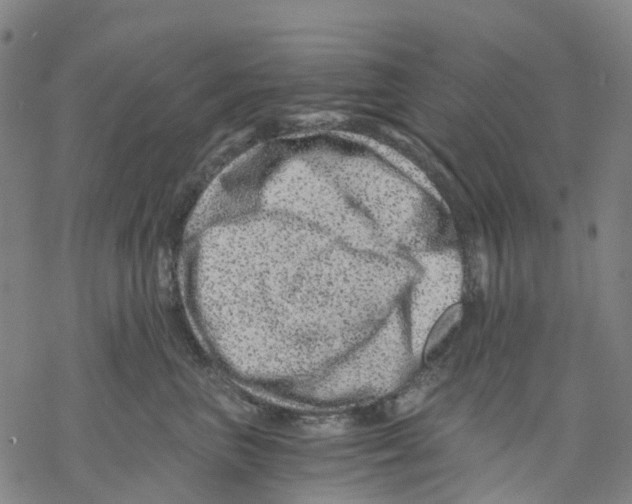 X0000068280667200605191855