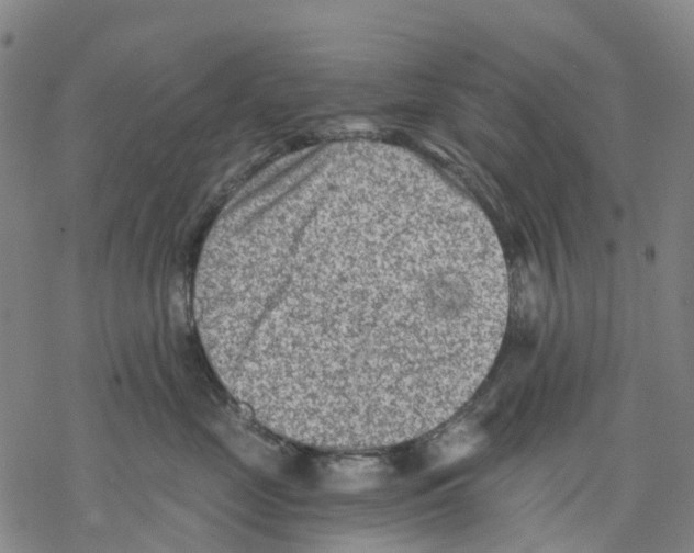 X0000068280669200605191855