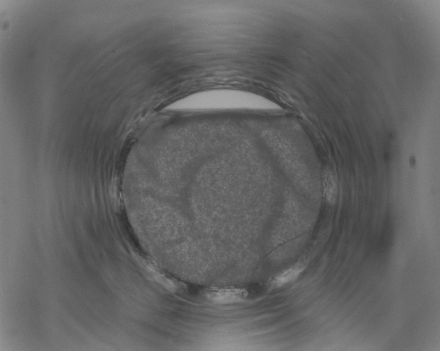 X0000068280670200605191855