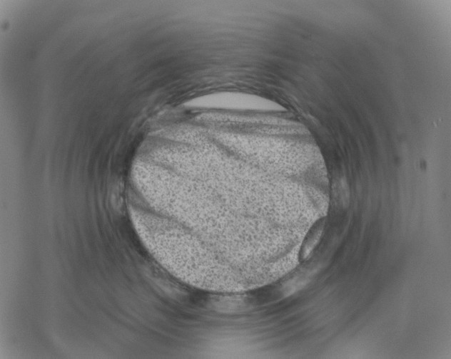 X0000068280671200605191855