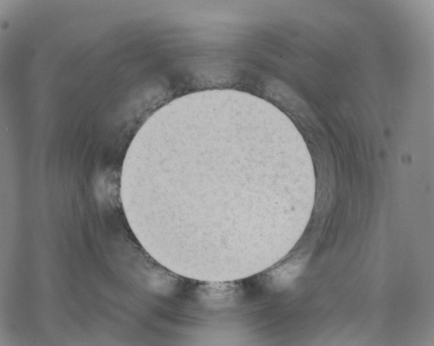 X0000068280672200605191855