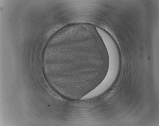 X0000068280673200605191854