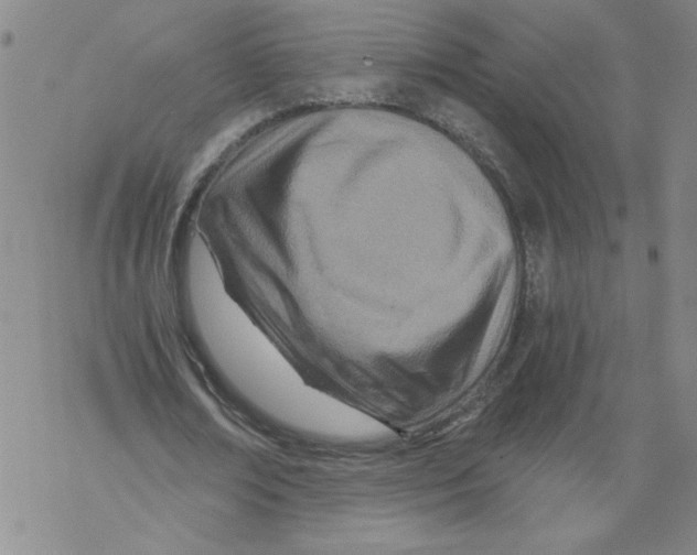 X0000068280674200605191854