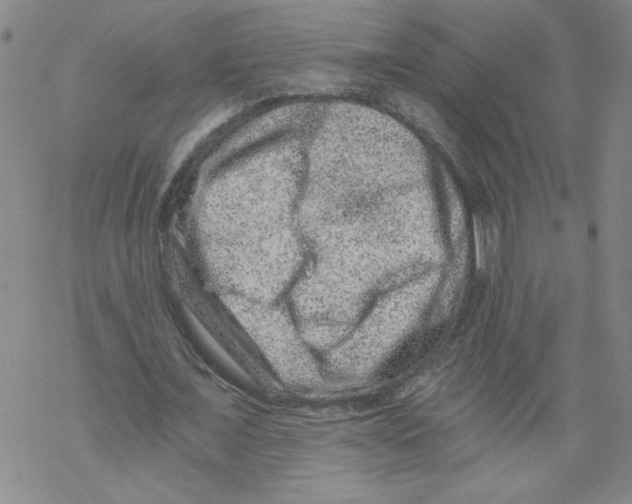 X0000068280675200605191854