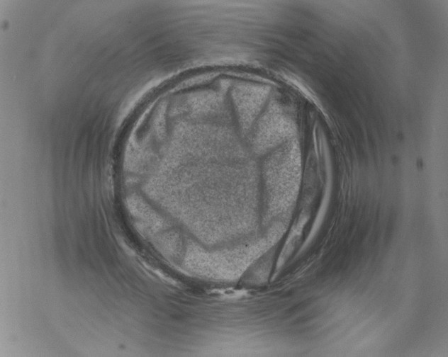 X0000068280676200605191854