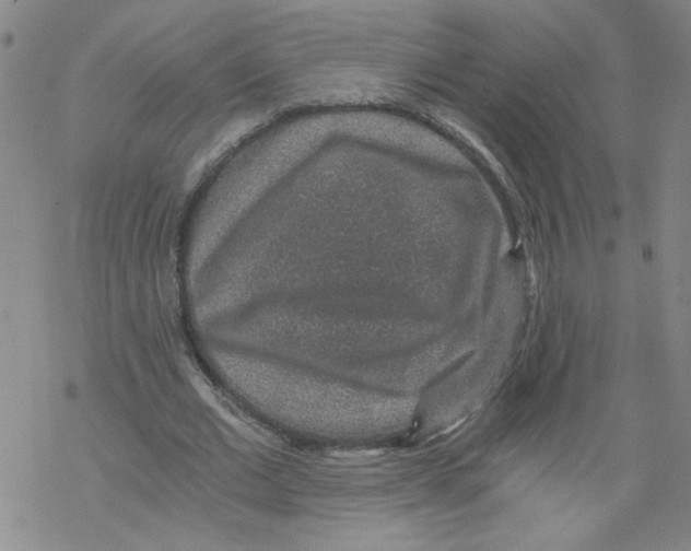 X0000068280677200605191854