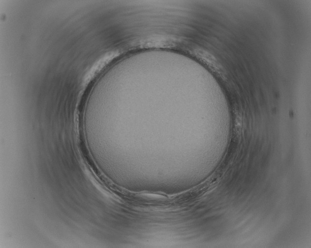 X0000068280678200605191854