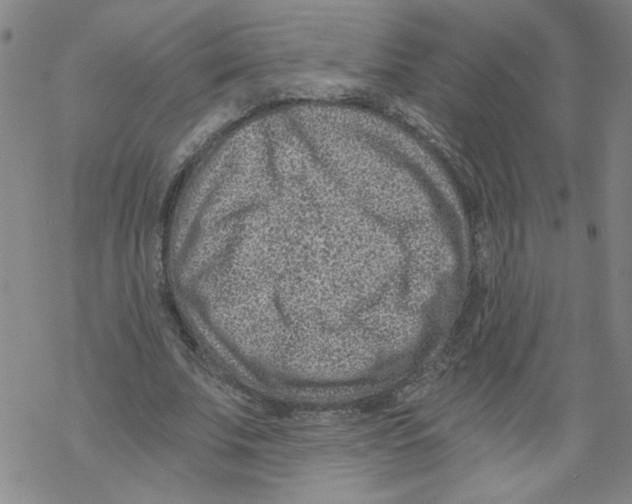 X0000068280679200605191854