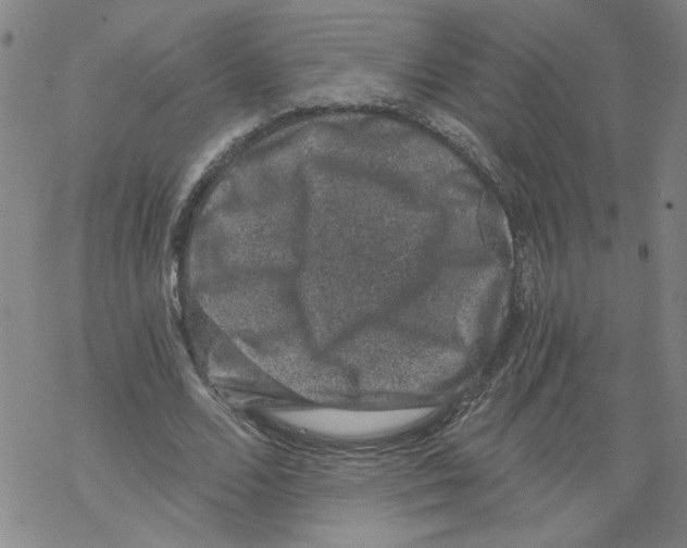 X0000068280680200605191854