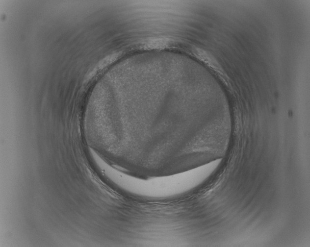 X0000068280681200605191854