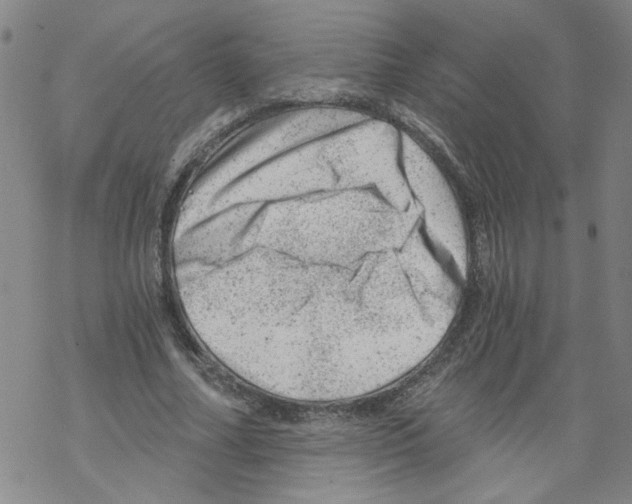 X0000068280682200605191854