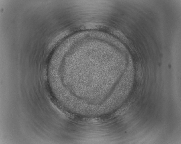 X0000068280683200605191854