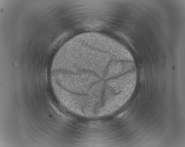 X0000068280686200605191854