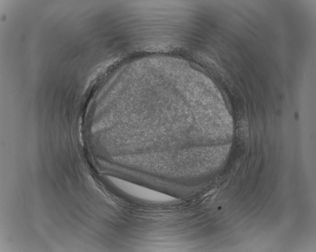 X0000068280688200605191854