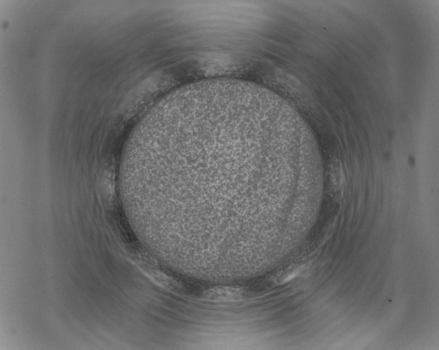 X0000068280691200605191854