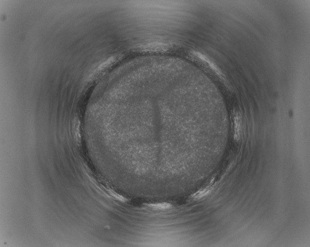 X0000068280692200605191854