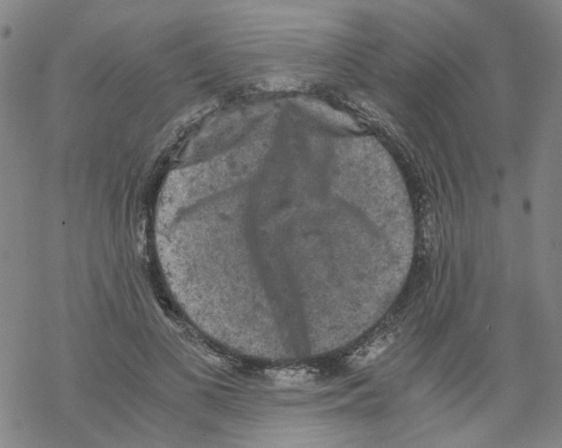 X0000068280693200605191854