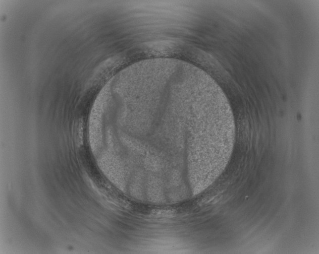 X0000068280694200605191854