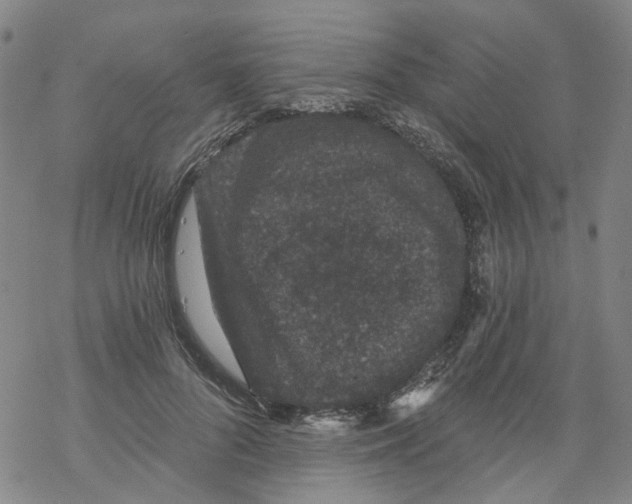 X0000068280696200605191853