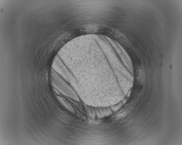 X0000068280697200605191853