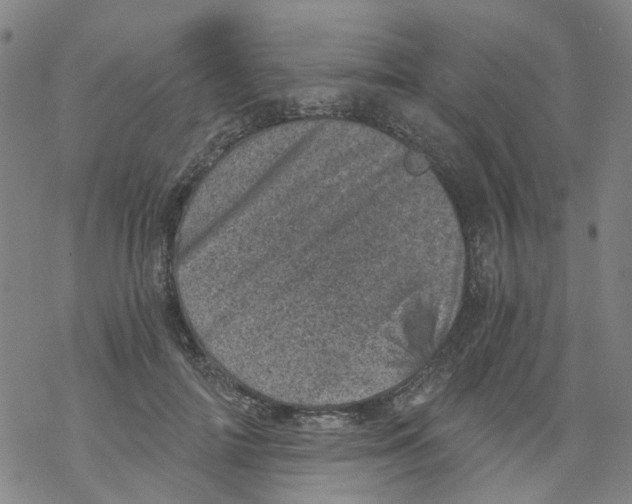 X0000068280698200605191853