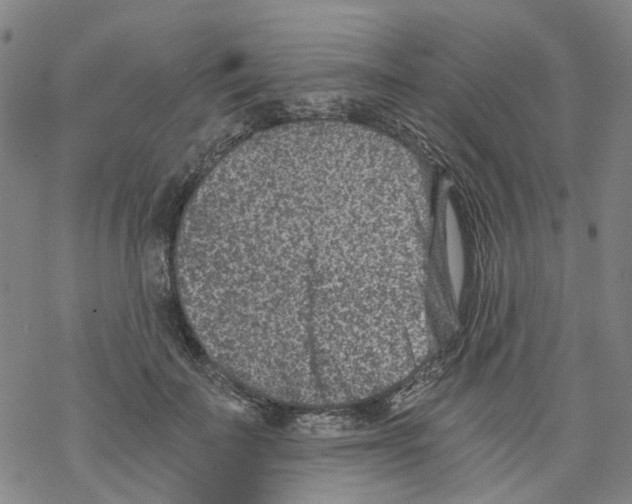 X0000068280699200605191853