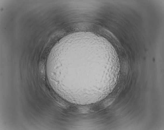 X0000068280701200605191853