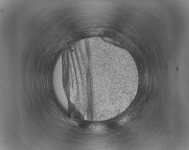 X0000068280704200605191853