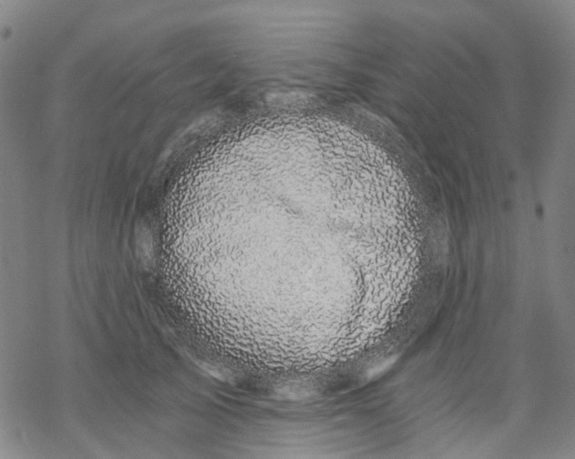 X0000068280705200605191853