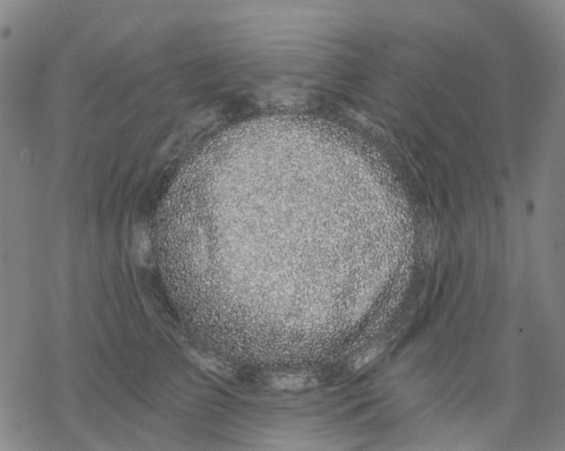 X0000068280709200605191853