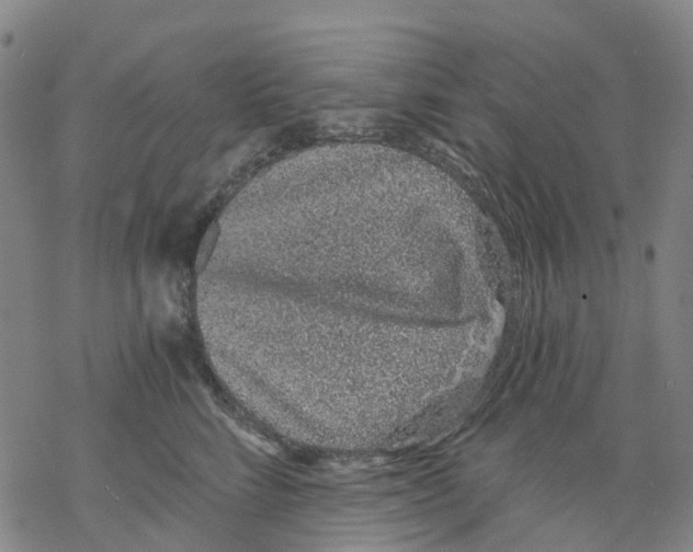 X0000068280712200605191853