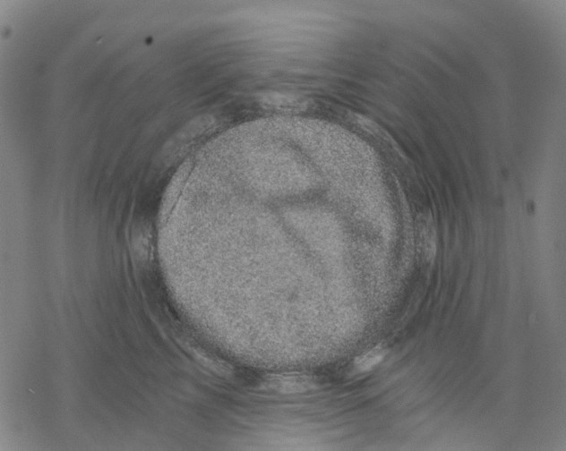 X0000068280713200605191853