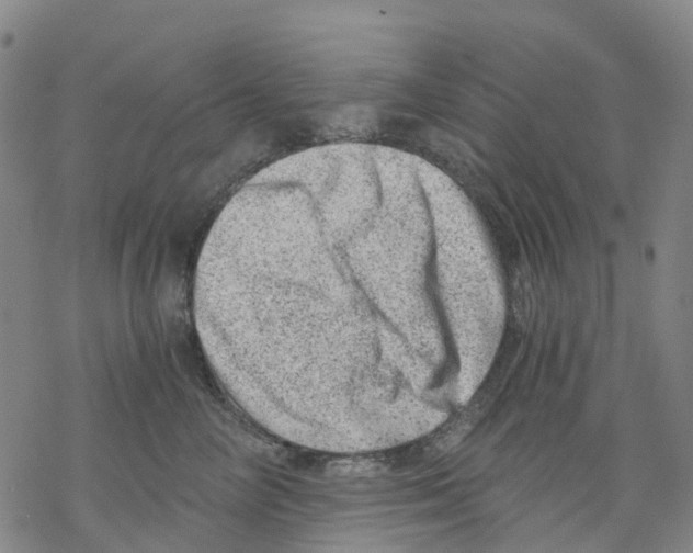 X0000068280714200605191853