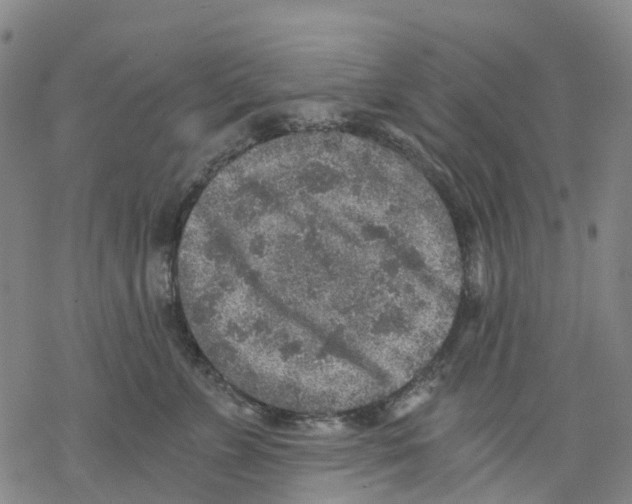 X0000068280715200605191853