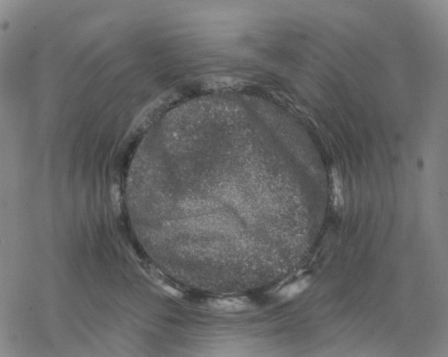 X0000068280716200605191853