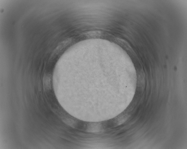 X0000068280717200605191853