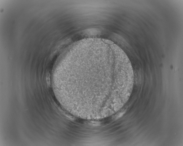 X0000068280718200605191853