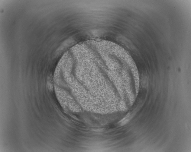 X0000068280719200605191853