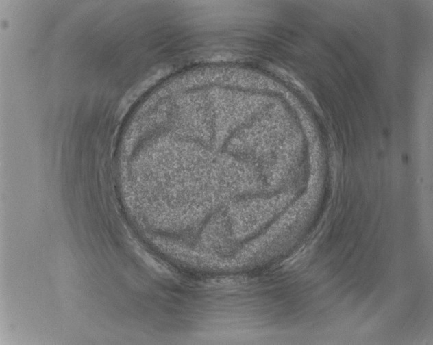 X0000068280721200605191852