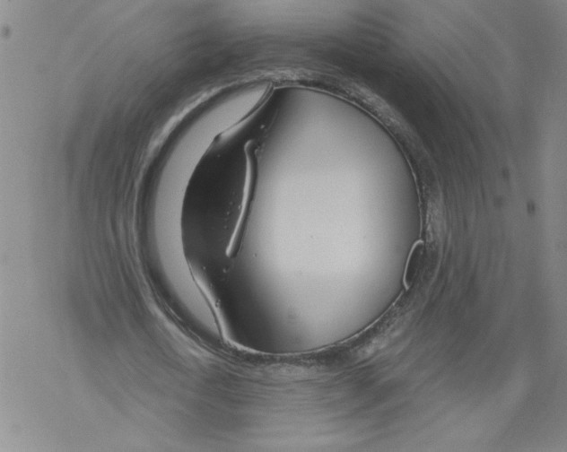 X0000068280722200605191852