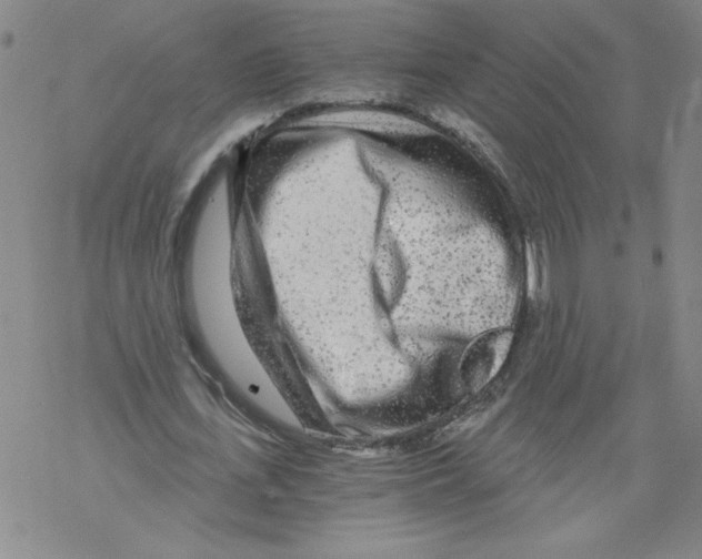 X0000068280723200605191852