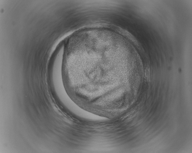 X0000068280724200605191852