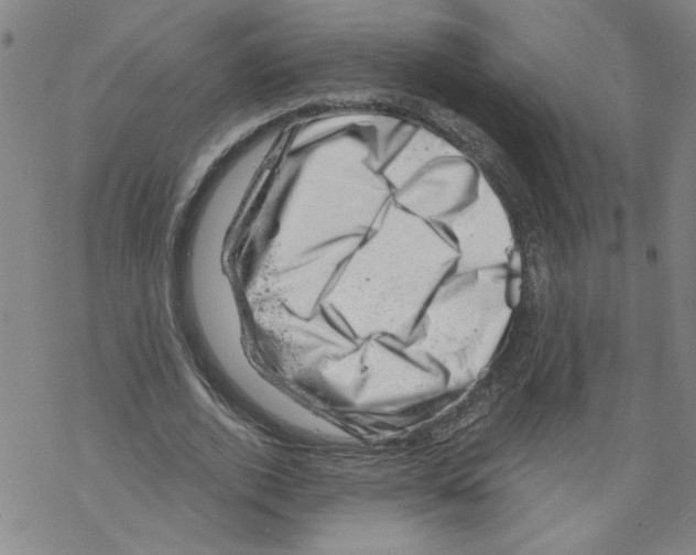 X0000068280728200605191852