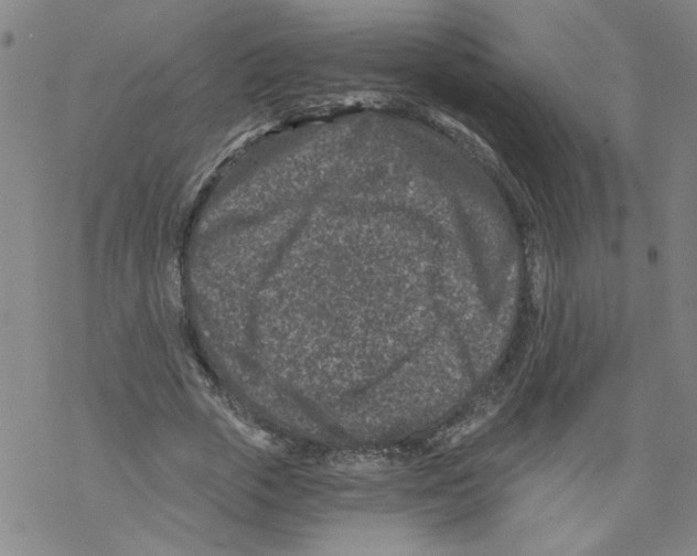 X0000068280729200605191852