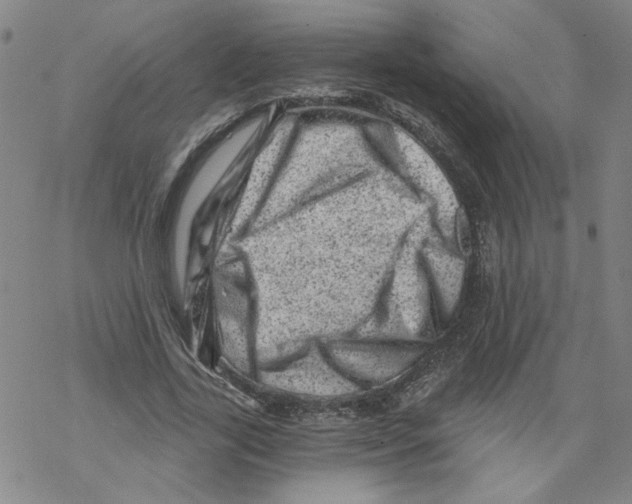 X0000068280731200605191852